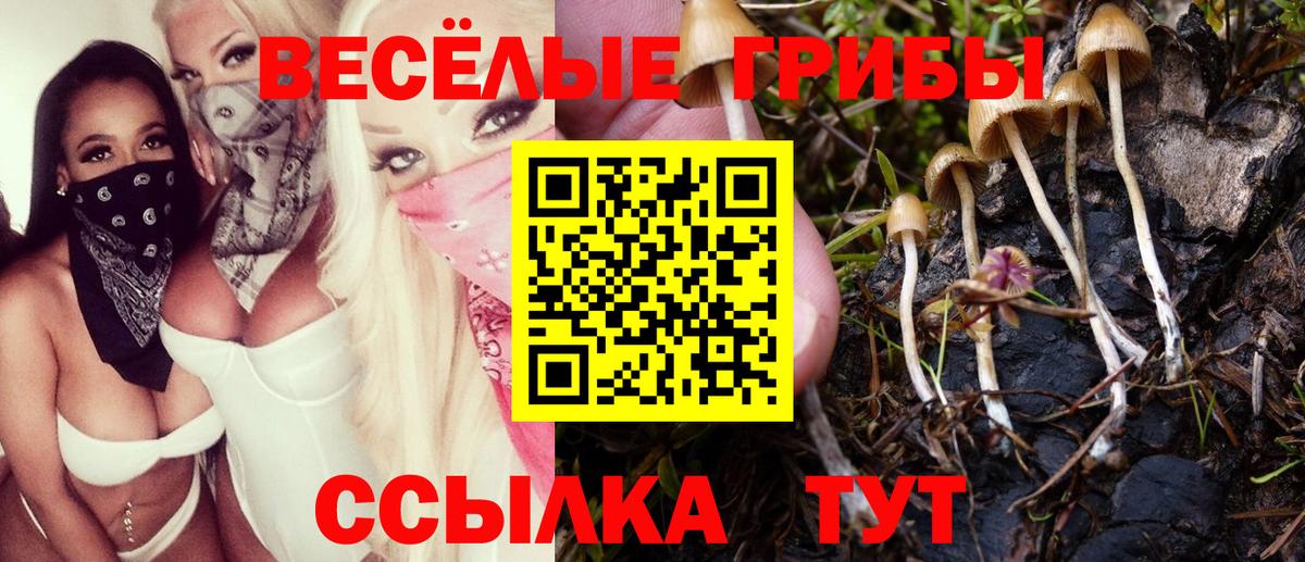 закладка  Вход с VPN  Белгород  Галлюциногенные грибы MAGIC MUSHROOMS  Псилоцибиновые грибы мухоморы 
